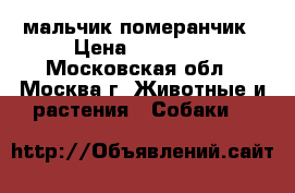 мальчик померанчик › Цена ­ 30 000 - Московская обл., Москва г. Животные и растения » Собаки   